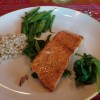salmon salmon