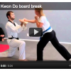 Amy's Tae Kwon Do Board Break