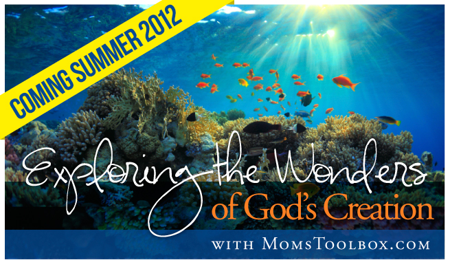 Exploring the Wonders of God’s Creation: New Bible study this summer
