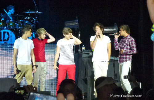 One Direction Concert in Houston, TX