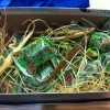 Summer Camp Care Packages