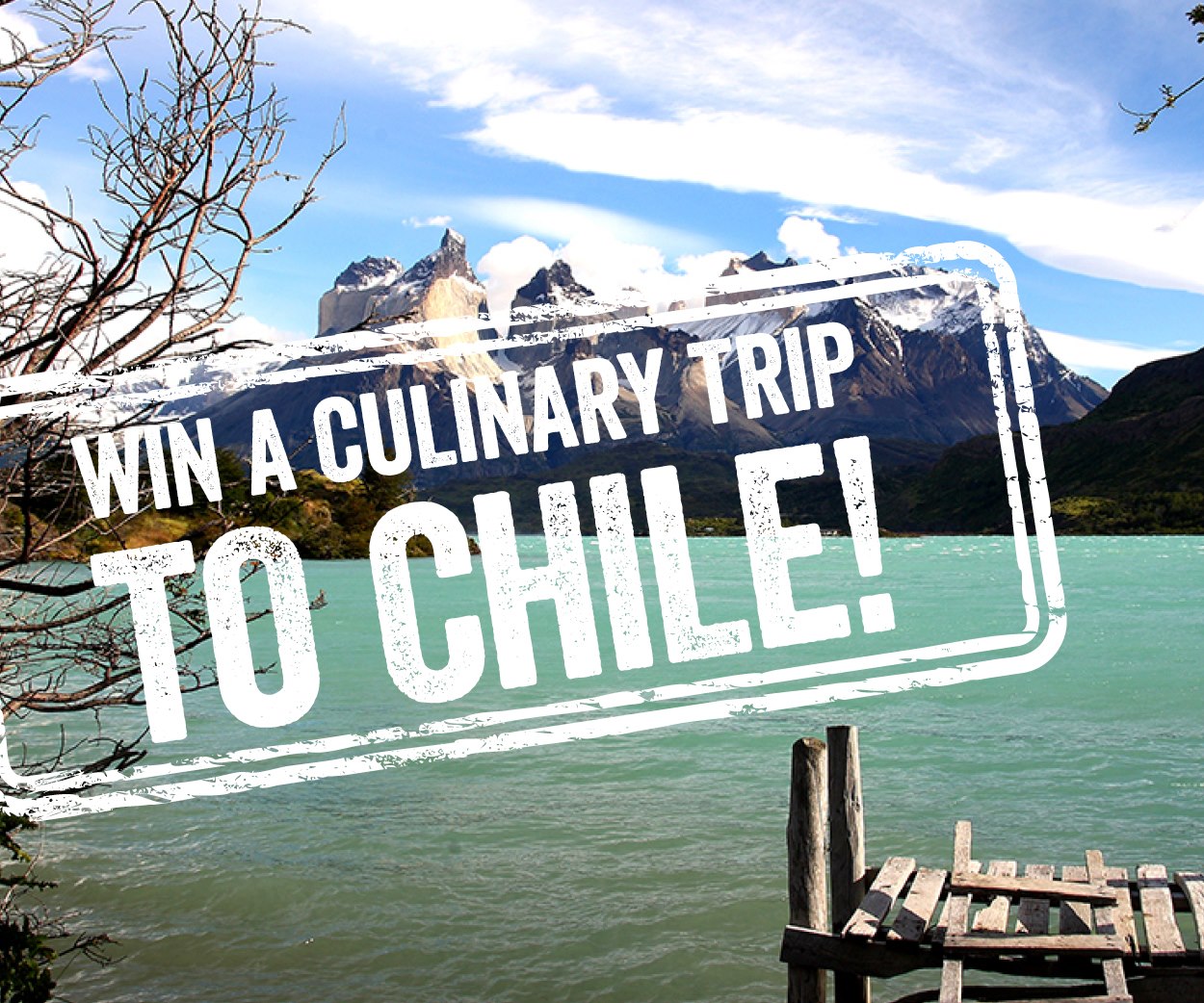 Thanks for making me a finalist in the Foods From Chile contest!
