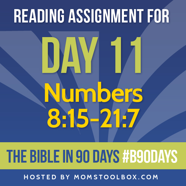 Bible in 90 Days: Day 11