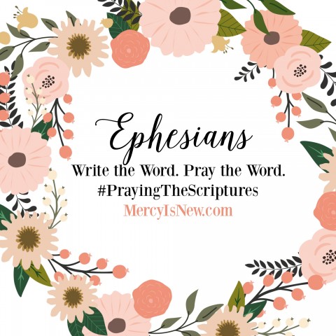 Ephesians-Write-the-Word-square-graphic-480x480