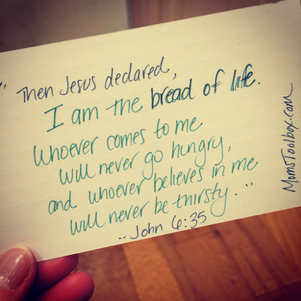 SOAP: Hungry for LIFE