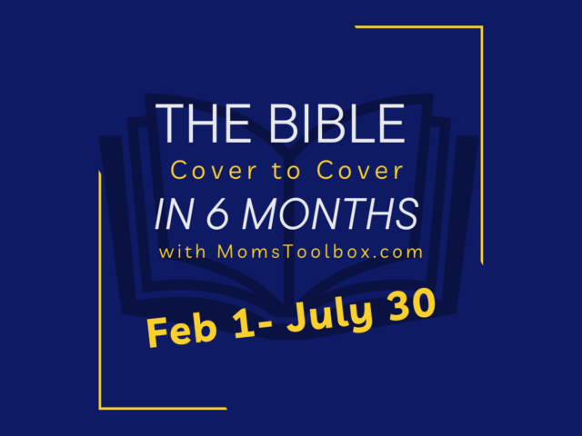 Join me in reading the entire Bible, cover to cover in 6 months, starting Feb 1.