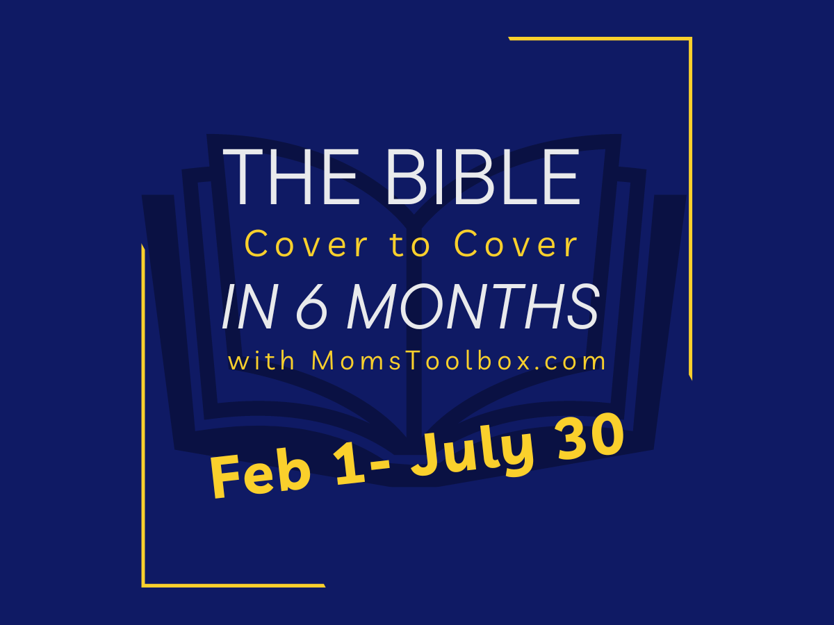 Bible in 6 Months: Week 3/ Day 15: When do YOU read your Bible?