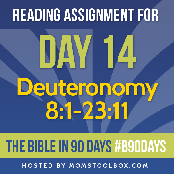 Bible in 90 Days Reading Assignment: Day 14 | MomsToolbox.com
