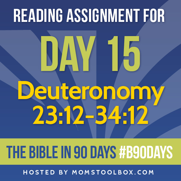 Bible in 90 Days Reading Assignment: Day 15 | MomsToolbox.com