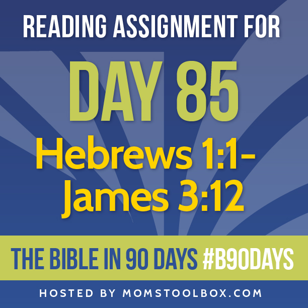 Bible in 90 Days: Day 85